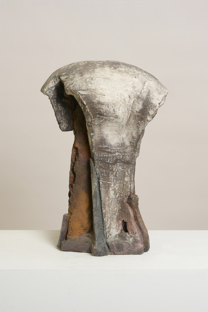 2619_JJSturm_Sturm_Torso_Nivard.jpg