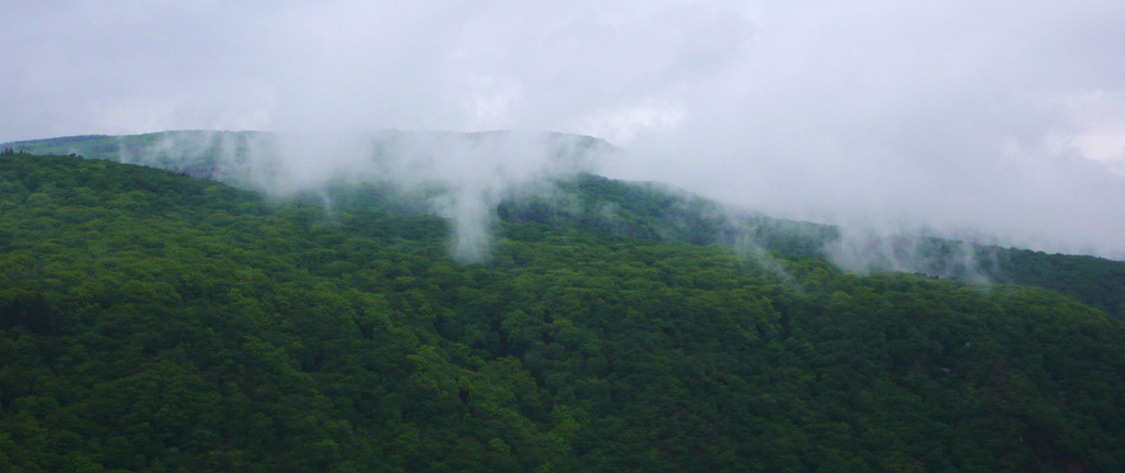 1708_SK_holl_Wald