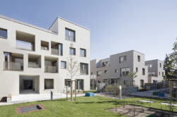 1750_Mannheim_motorlab_Turley