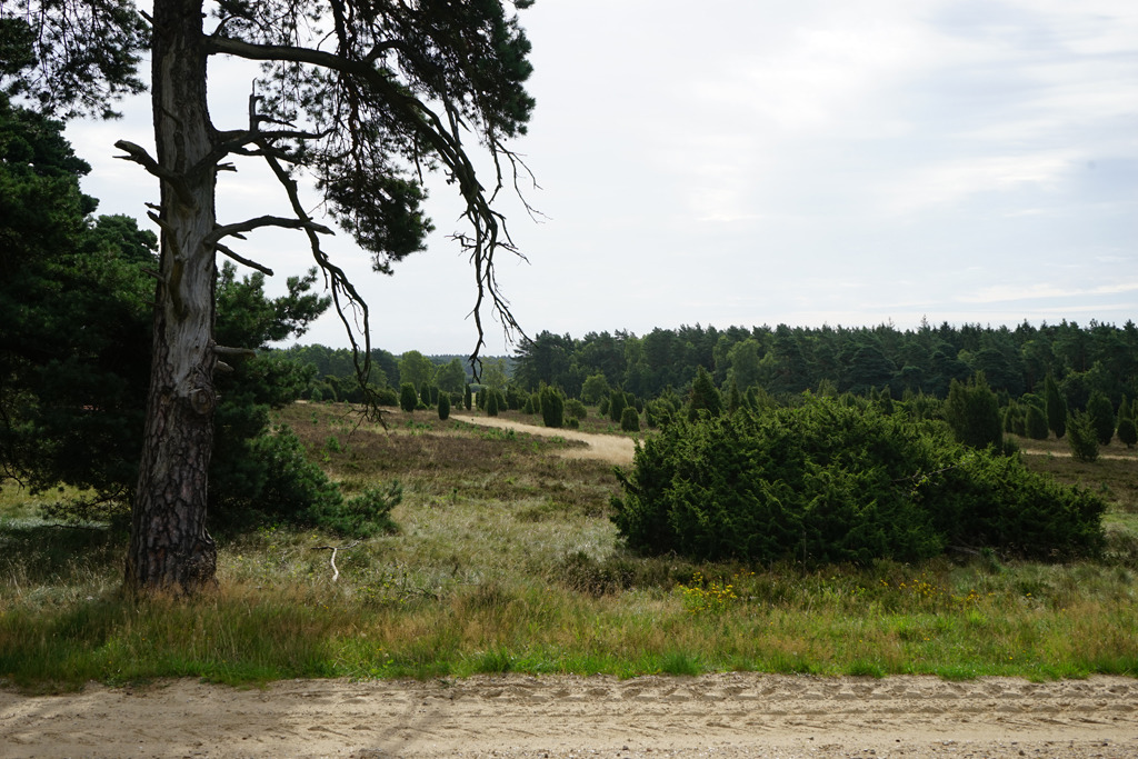 1826_SL_mh_Landschaft