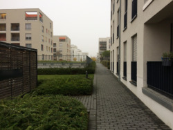 Ein Erdgeschoss-Bereich: Fenster und Balkone vor öffentlichen Wegen und dem Abfall-Shelter – die Dachgeschosse bieten erkennbar beste Wohnqualität. (Bild: Ursula Baus)