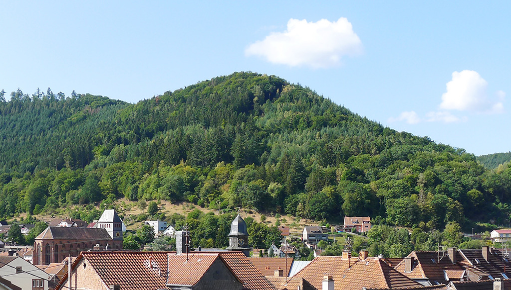 Die Kirche im Dorf lassen – eine stattliche Kirche, in der allenfalls zu Orgelkonzerten mehr als zehn Menschen weilen. (Bild: Ursula Baus)