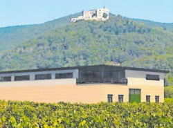 Fotomontage als Beratungsvorlage für die Stadt | Weingut Kriegs