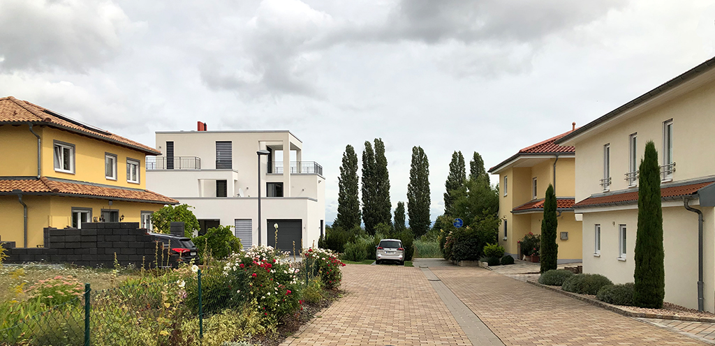 Schottergarten mit Freidhofsgewächsen und formfixiertem Buchsbaum – vis-à-vis kunterbunter Blütenpracht (Bild: Wilfried Dechau)