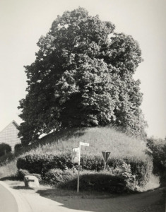 Evessen (Bild: Michael P. Romstoeck)