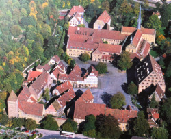 Blick von Westen auf die Klosteranlage (Bild: MfM Baden_Württemberg)