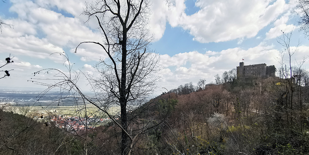 2120_Hambach_Schloss