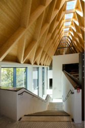 Treppe hinab zum großen, lichten Untergeschoss (Bild: Wilfried Dechau)