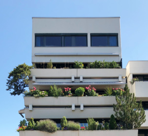 In den 1960er Jahren beliebt und bis heute begehrt: terrassierte Häuser, die mit üppigen Pflanztrögen auf Balkonen und Terrassen Privatheit garantierten konnten. (Bild: Ursula Baus)