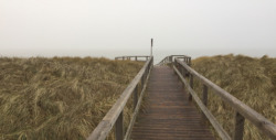 2209_REZ_BB_wd_Sylt