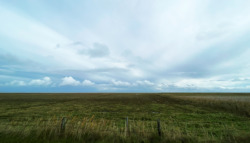 2240_Braderuper_Heide