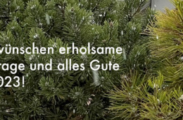 2250_Jahreswechsel