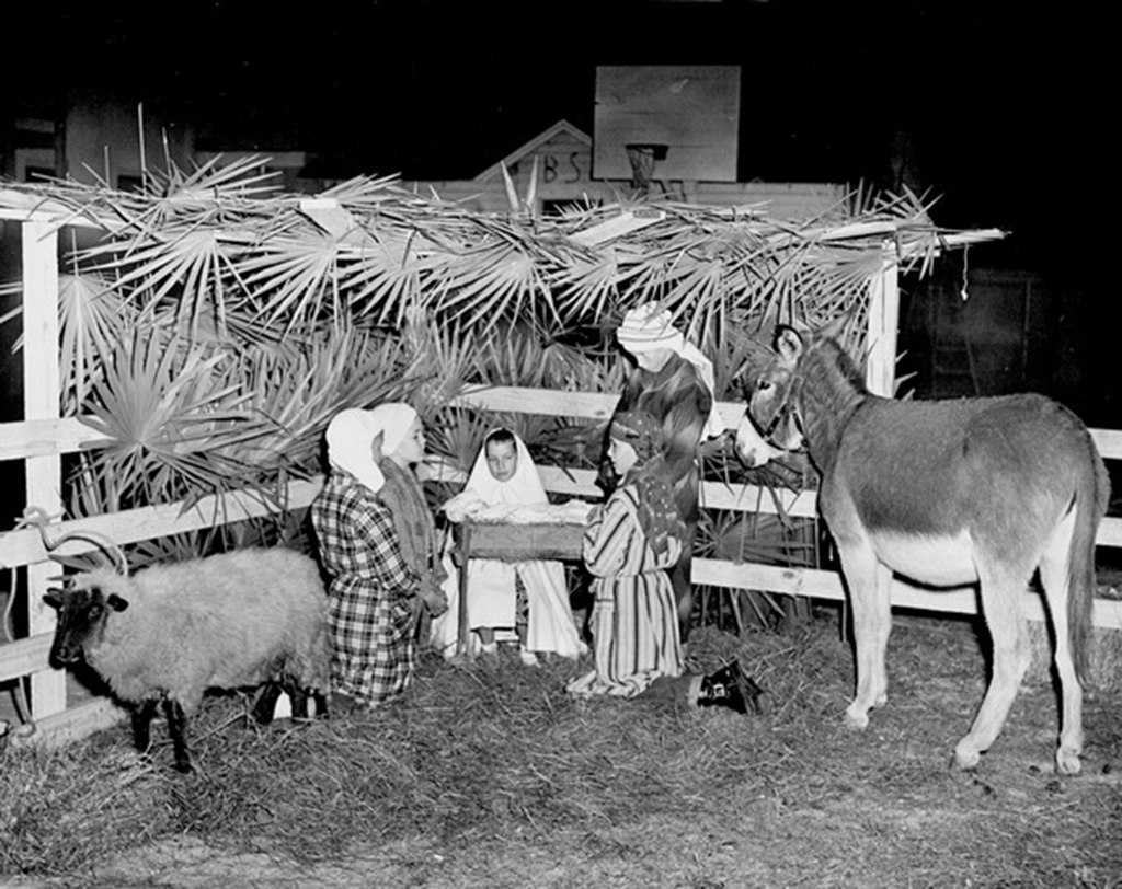 Egal ob unter den Augen von Esel, Ochs´ oder Ziege – it´s the same prodecure as every year with the Wiege (Bild: commons.wikimedia, Florida Memory)
