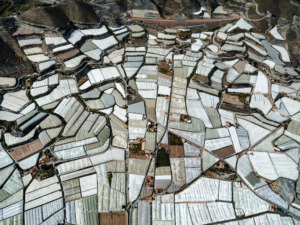 2339_FE_hegen_Greenhouse