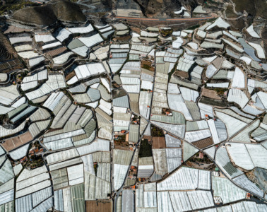 2339_FE_hegen_Greenhouse