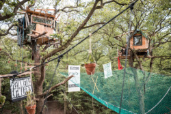 2338_KF_TimWagner_HambacherForst