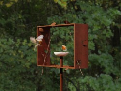 2411-KF_Roije_Frame