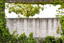 2440_FE_Hartmann_gruen