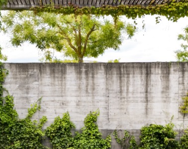 2440_FE_Hartmann_gruen