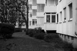 2446_FE_Kaufmann