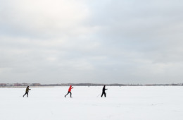 tempelhof. metamorphosis #6348