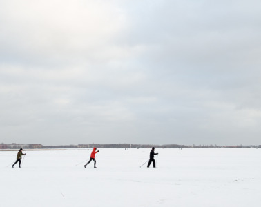 tempelhof. metamorphosis #6348