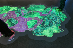Ausstellungsansichten Save Land