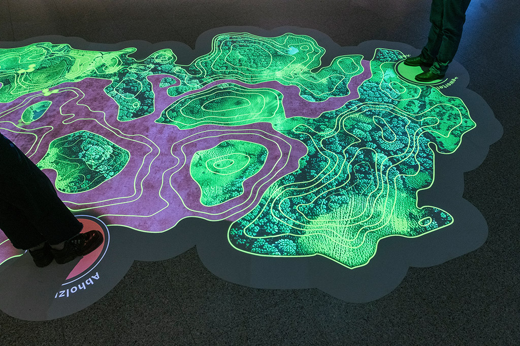 Ausstellungsansichten Save Land