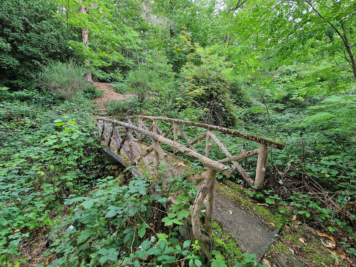 2526_wd_9_20230817_184515