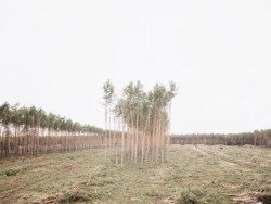 2539_AT_Neue Langeweile_Bei Grünheide_08