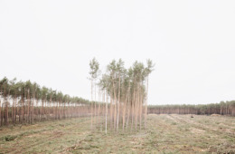 2539_AT_Neue Langeweile_Bei Grünheide_08