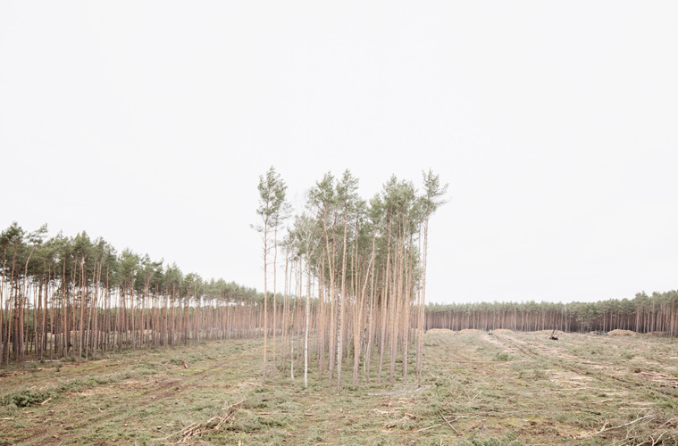 2539_AT_Neue Langeweile_Bei Grünheide_08