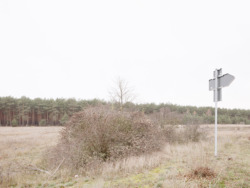 2539_AT_Neue Langeweile_Bei Grünheide_11