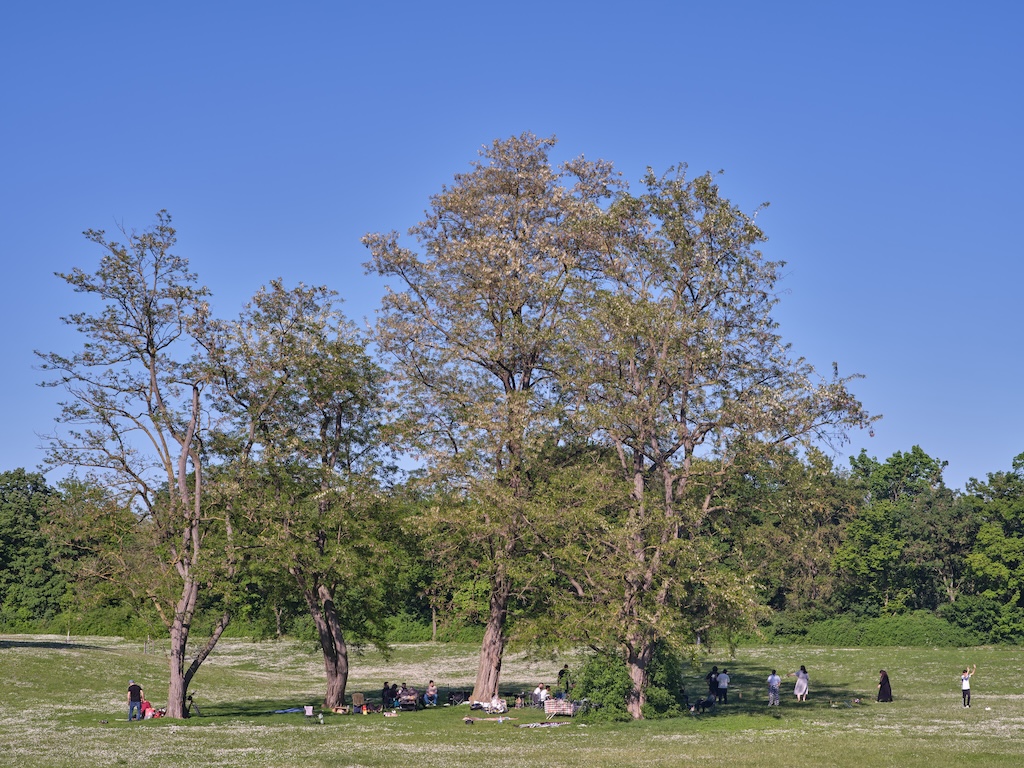 2542_SL_Brigola_ParkStuttgart