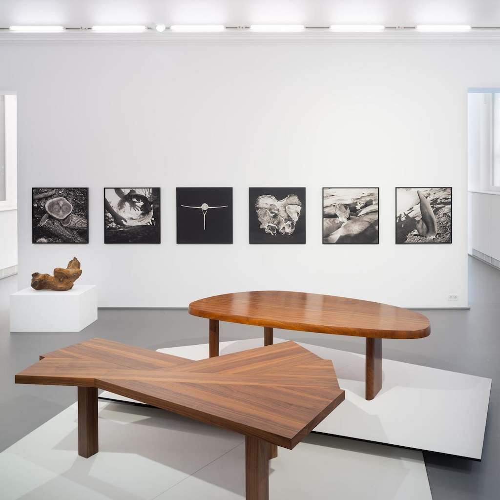 2550_KF_VGBildkunstRose_InstallationKWM