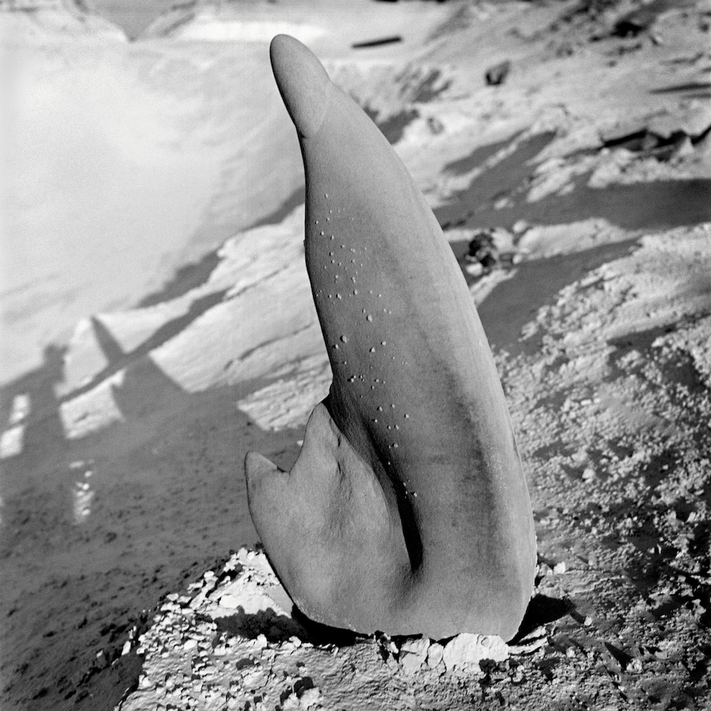 2550_KF_VGBildkunst_Perriand_Artbrut