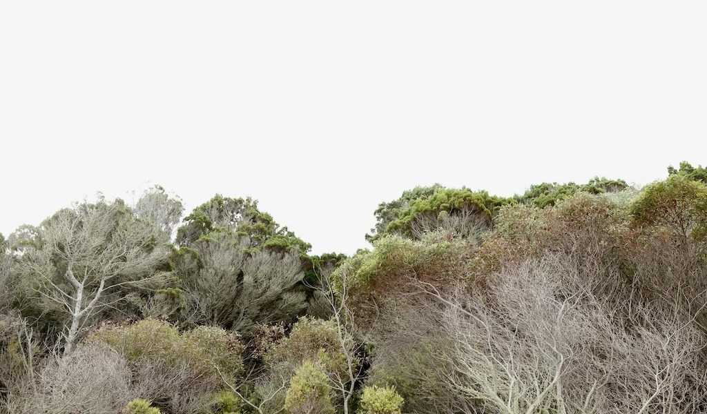 2606_FE_hiepler_Landscapes