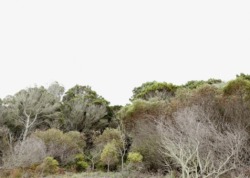 2606_FE_hiepler_Landscapes