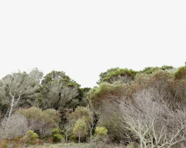 2606_FE_hiepler_Landscapes