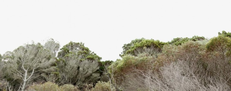 2606_FE_hiepler_Landscapes