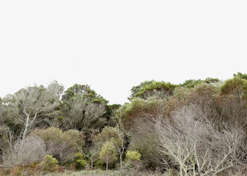 2606_FE_hiepler_Landscapes