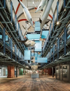 26111_AT_Gonzalez_StralsundMMKirchenschiff