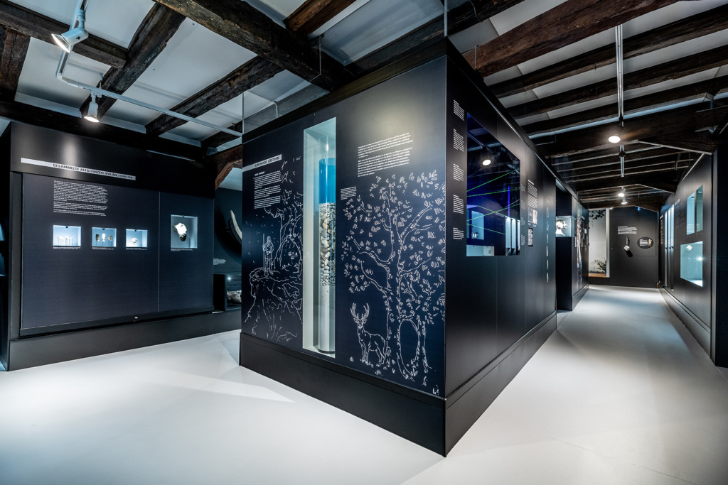 Dauerausstellung "Aus dem Untergrund". (Foto: Thomas Neu, MusueumBensheim)