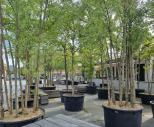 260424_VW_Stadtnatur