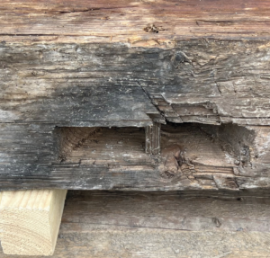 260717_VW_Wiederholz