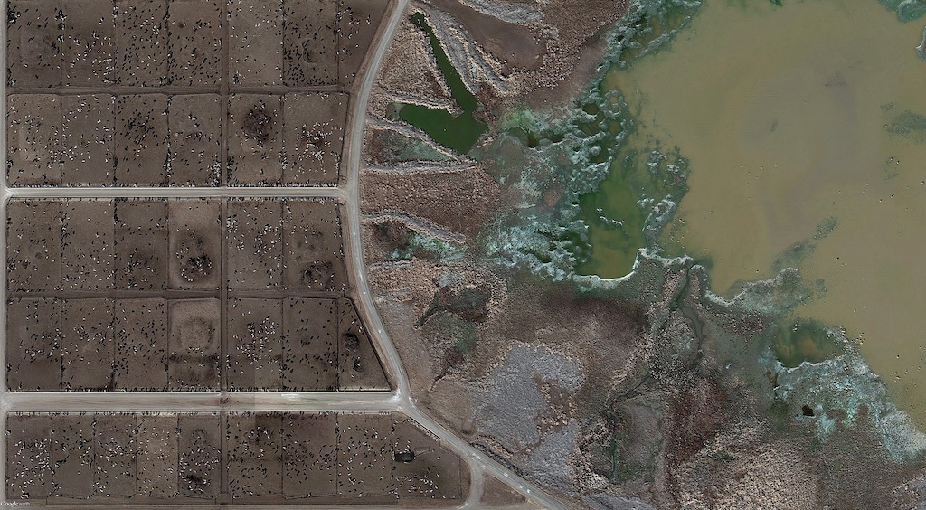 2630_KF_googleEarth_Tascosa-Feed-Yard